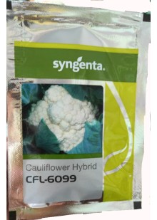  CFL 6099